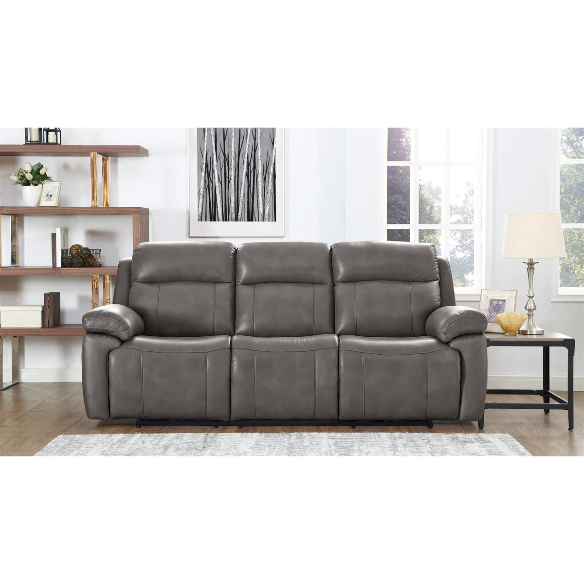 Amax Leather Sydney 6565-30P3-2131A Power Reclining Sofa - Chatham Gre