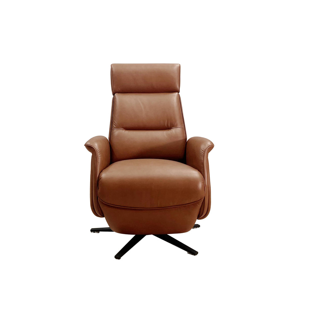 Amax Leather Benson Power Leather Recliner 6673W-10P2-2523