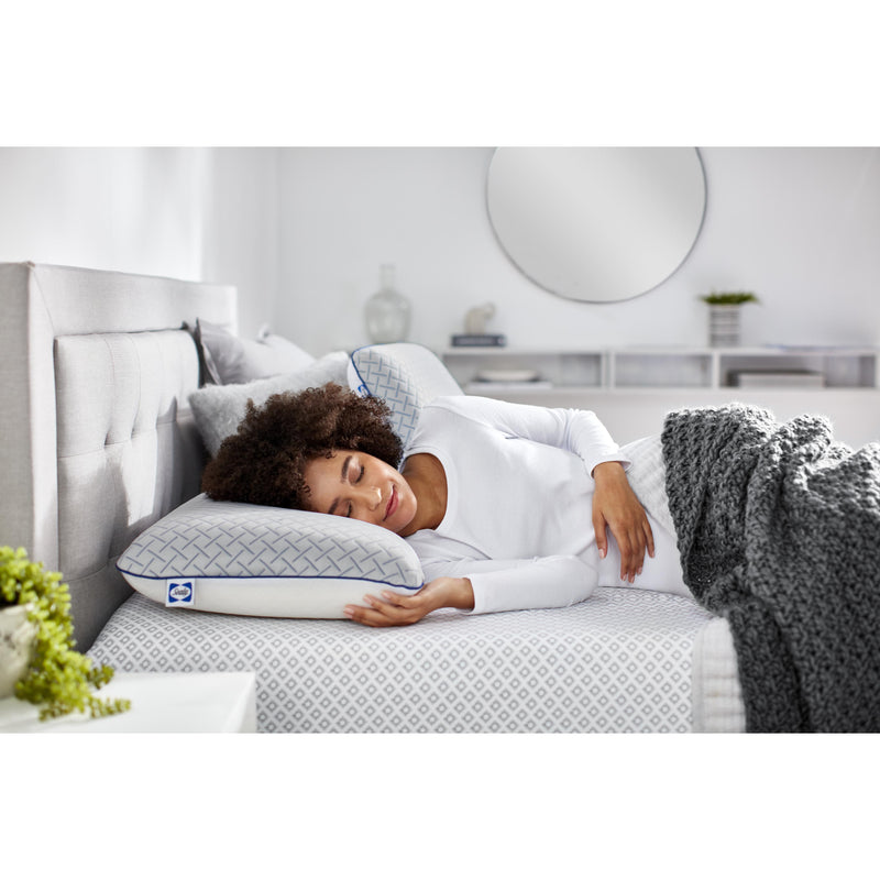 Sealy Cool-Touch Memory Foam Pillow (Standard)