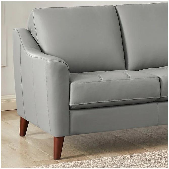 Hydeline Ersa Stationary Leather Match Sofa Ersa Sofa - Silver IMAGE 3