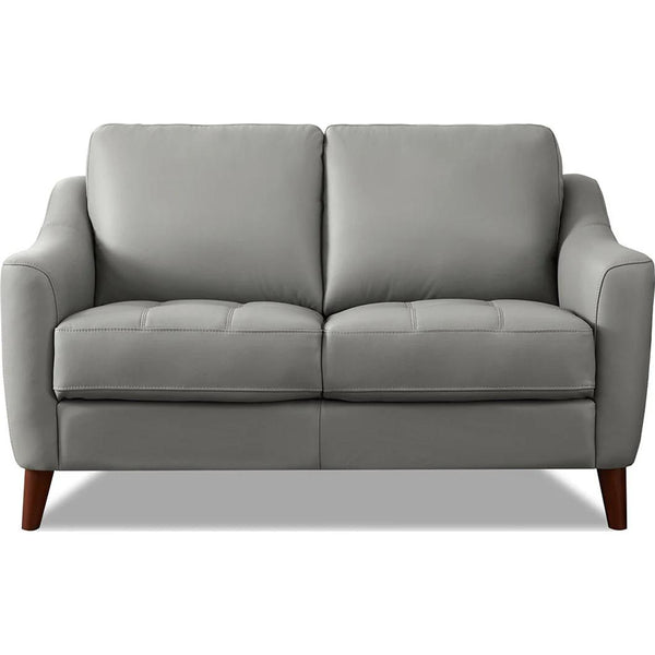 Hydeline Ersa Stationary Leather Match Loveseat Ersa Loveseat - Silver IMAGE 1