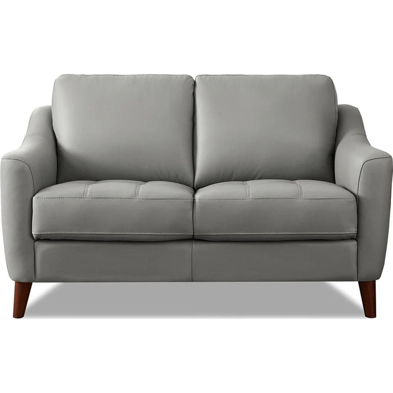 Hydeline Ersa Stationary Leather Match Loveseat Ersa Loveseat - Silver IMAGE 1