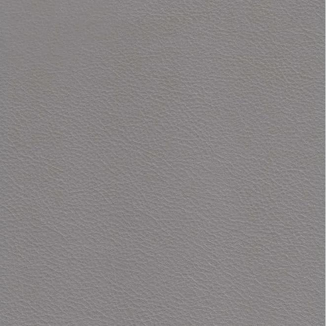 Hydeline Ersa Stationary Leather Match Loveseat Ersa Loveseat - Silver IMAGE 6