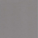 Hydeline Ersa Stationary Leather Match Chair Ersa Chair - Silver IMAGE 5