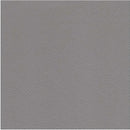  Hydeline Aiden Stationary Leather Match Chair Aiden Chair - Silver IMAGE 2