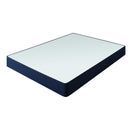 Serta Full Perfect Sleeper Box spring Full Base IMAGE 1
