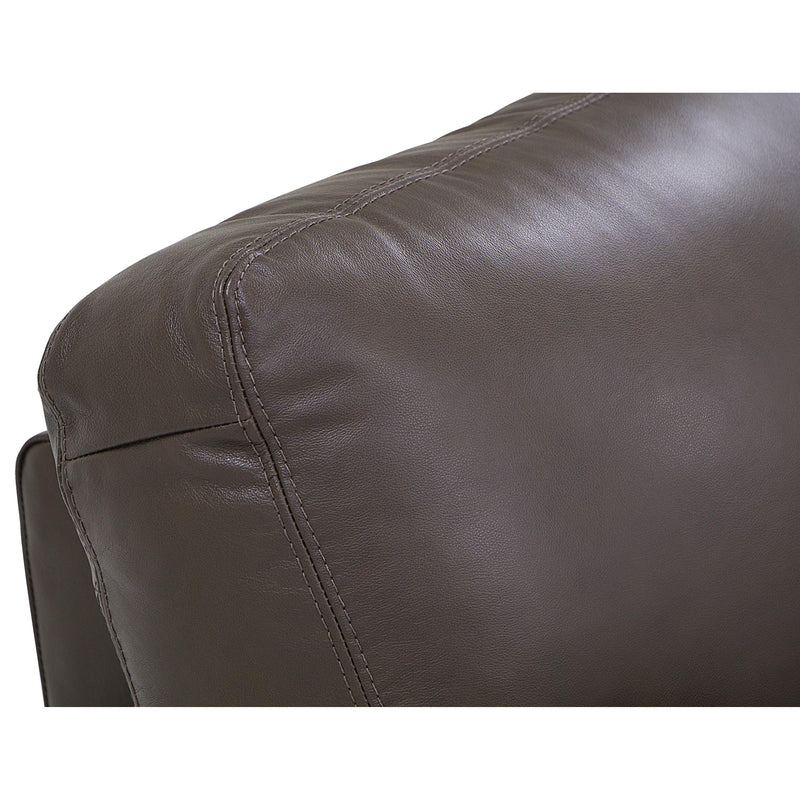 Palliser Westend Stationary Leather Sofa 77322-01-CLASSIC-ACORN IMAGE 5